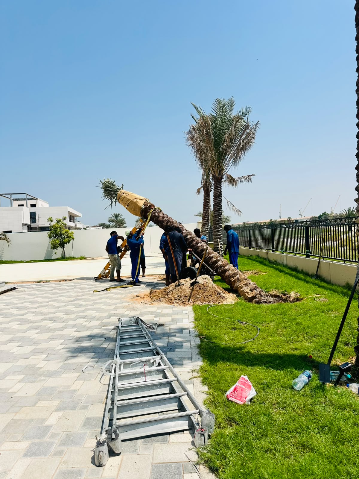 الزراعة وخدمات الأشجار