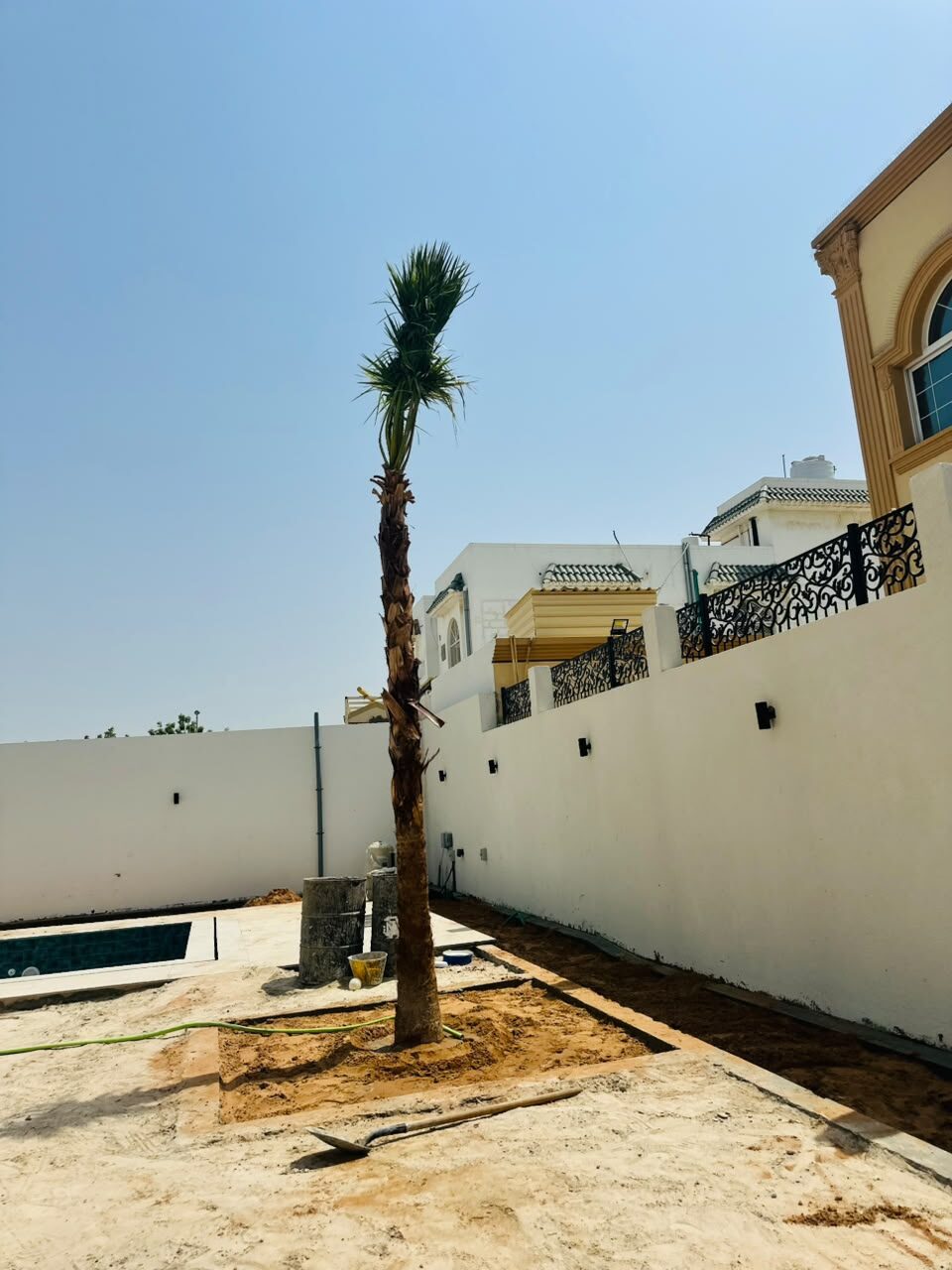 تحويل عشب الفناء الجانبي — قبل